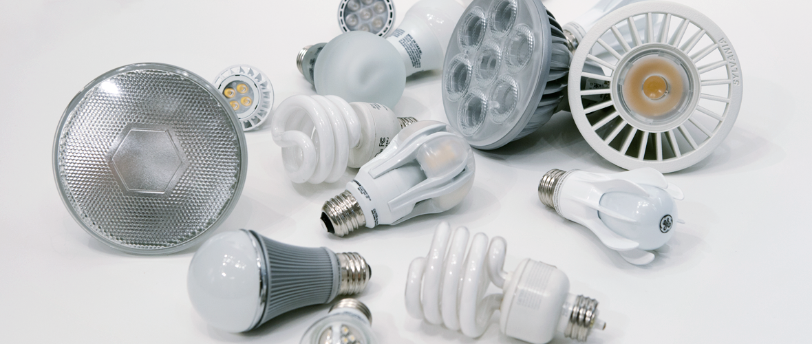 14 different light bulbs varying in size and shape