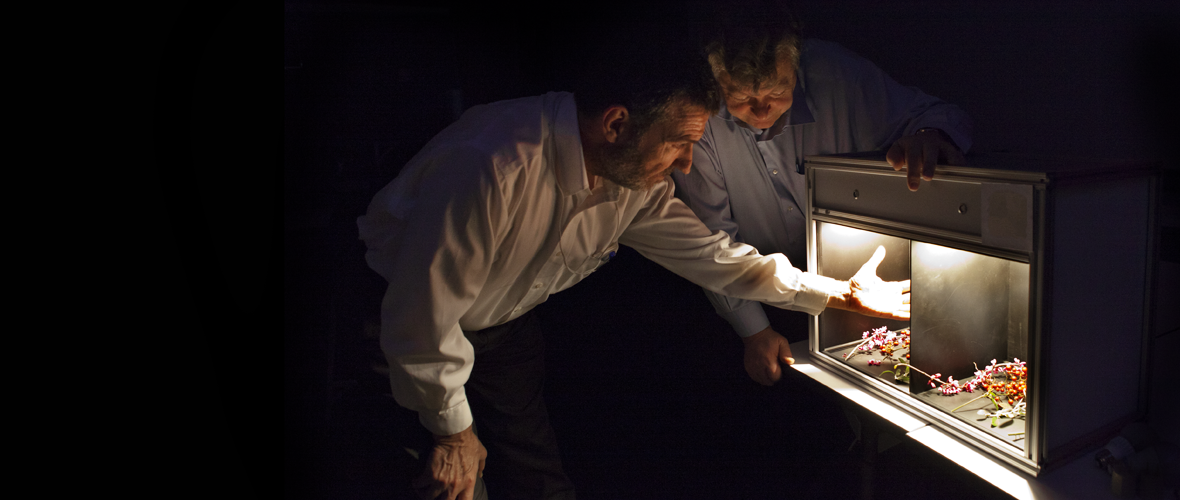 Two people looking into a box with light