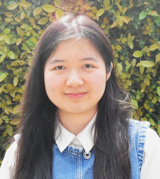 lan hui