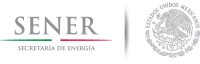 Mexican Ministry of Energy (SENER) Logo